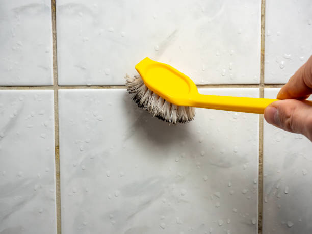Best Toxic Mold Removal  in Window Rock, AZ