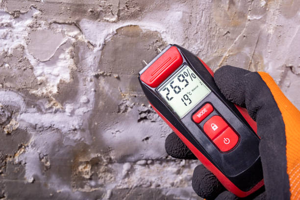 Best Residential Mold Removal  in Window Rock, AZ